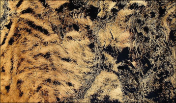 Dalším druhem z unikátních materiálů co se týká použití v upravě podhledů a stěn  je kamenná folie fixovaná na průsvitné pryskyřici