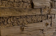 wooden aspera